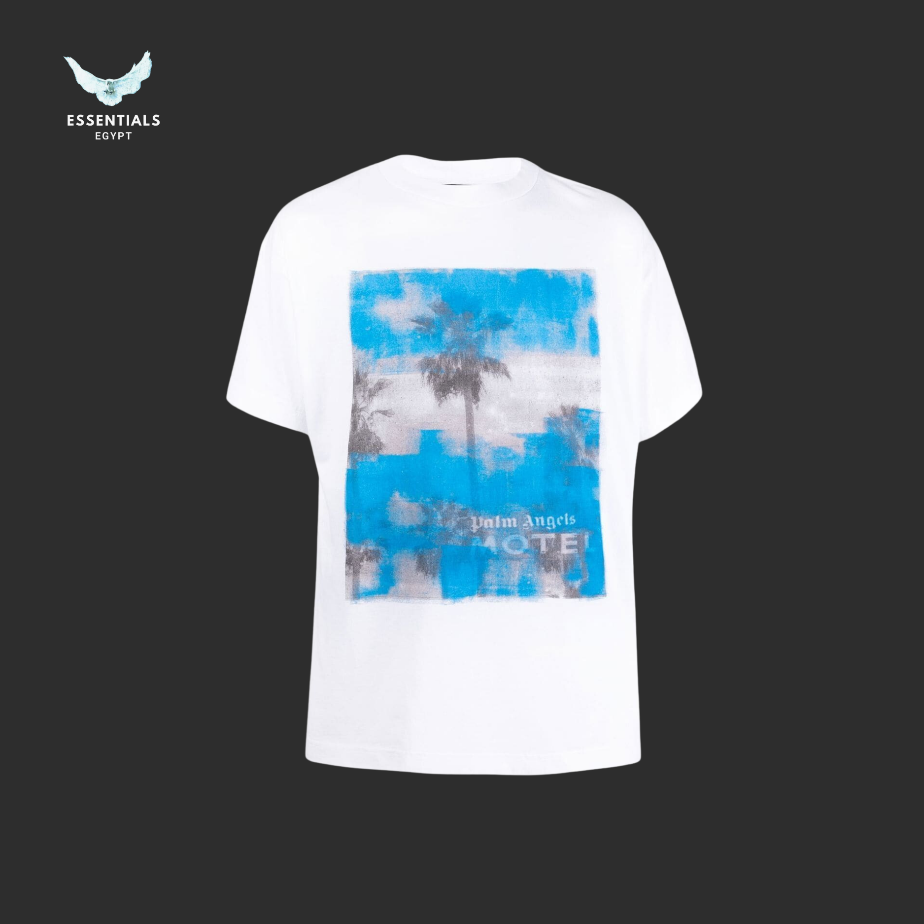 Palm Angels graphic-print cotton T-shirt