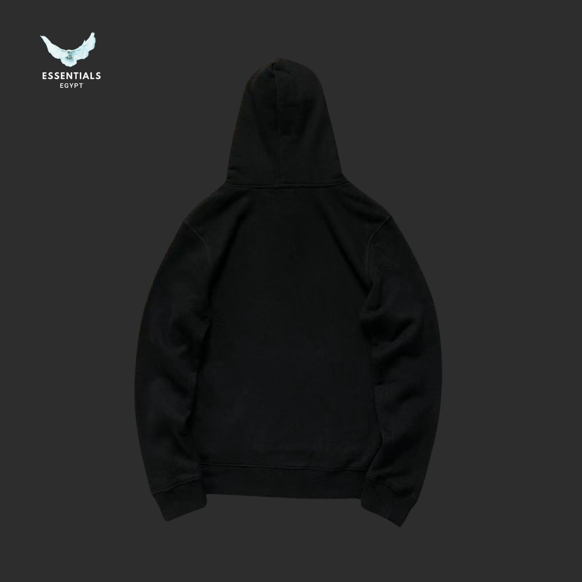 Ralph Lauren Hoodie 310090401