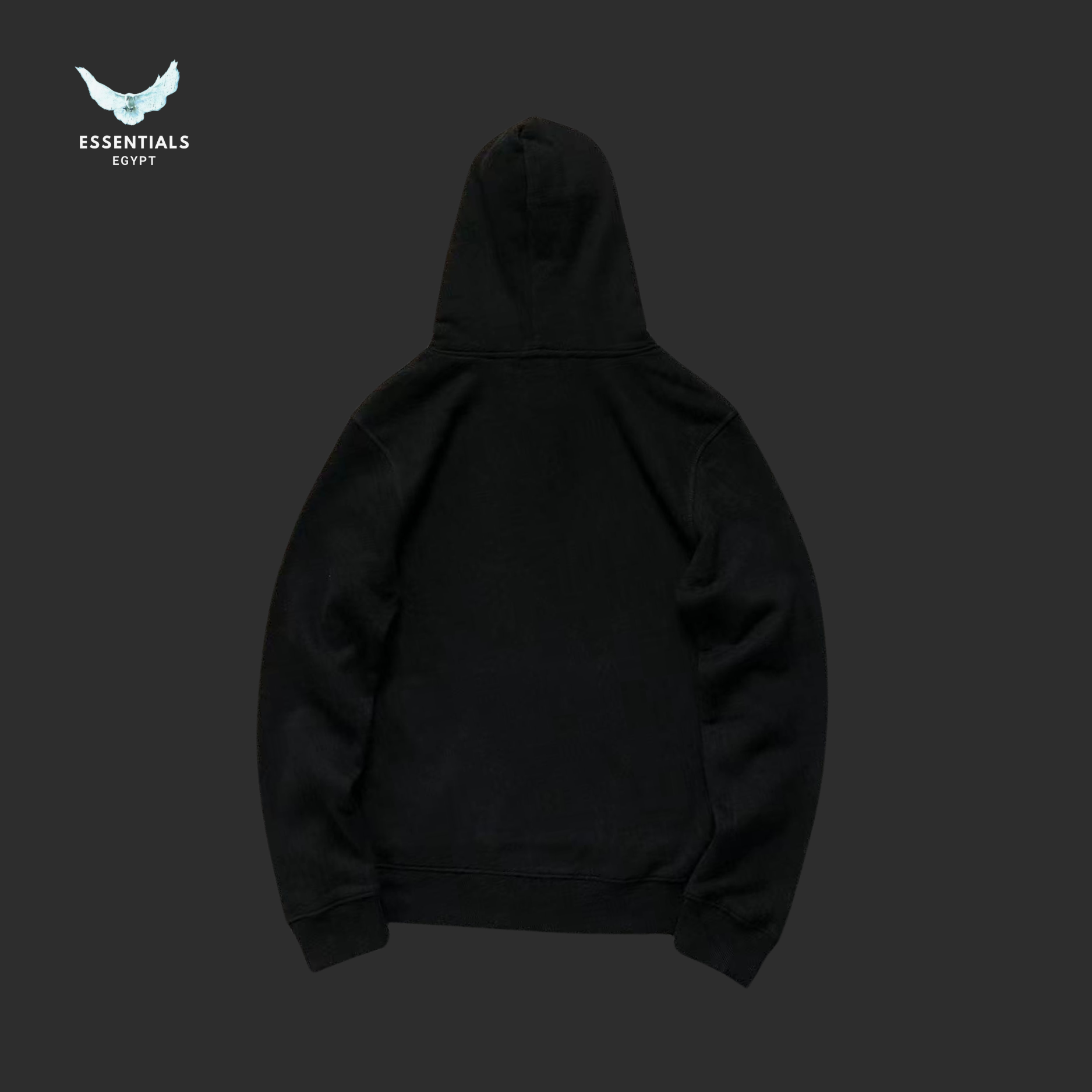 Ralph Lauren Hoodie 310090701