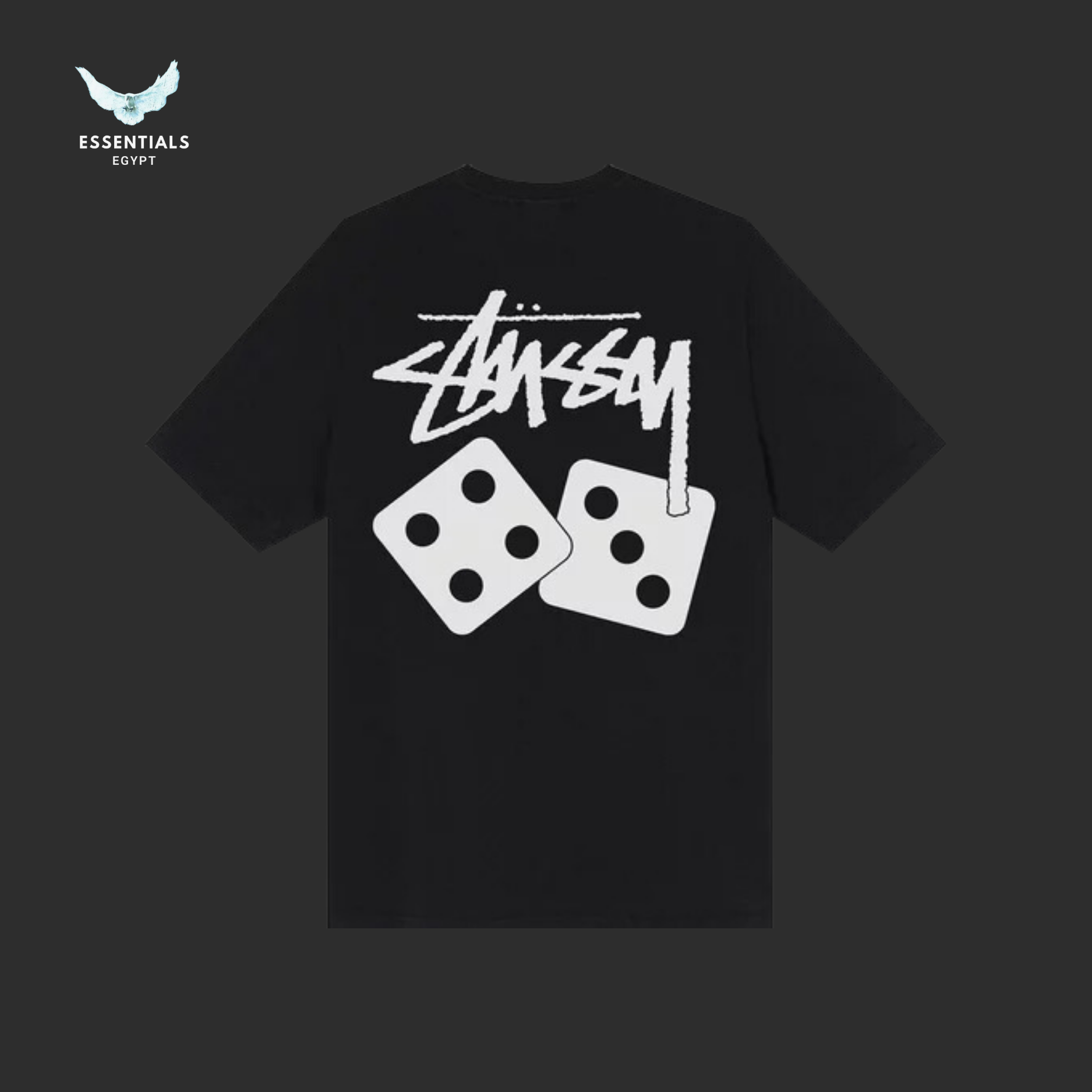 Stussy Dice Pigment Dyed Tee