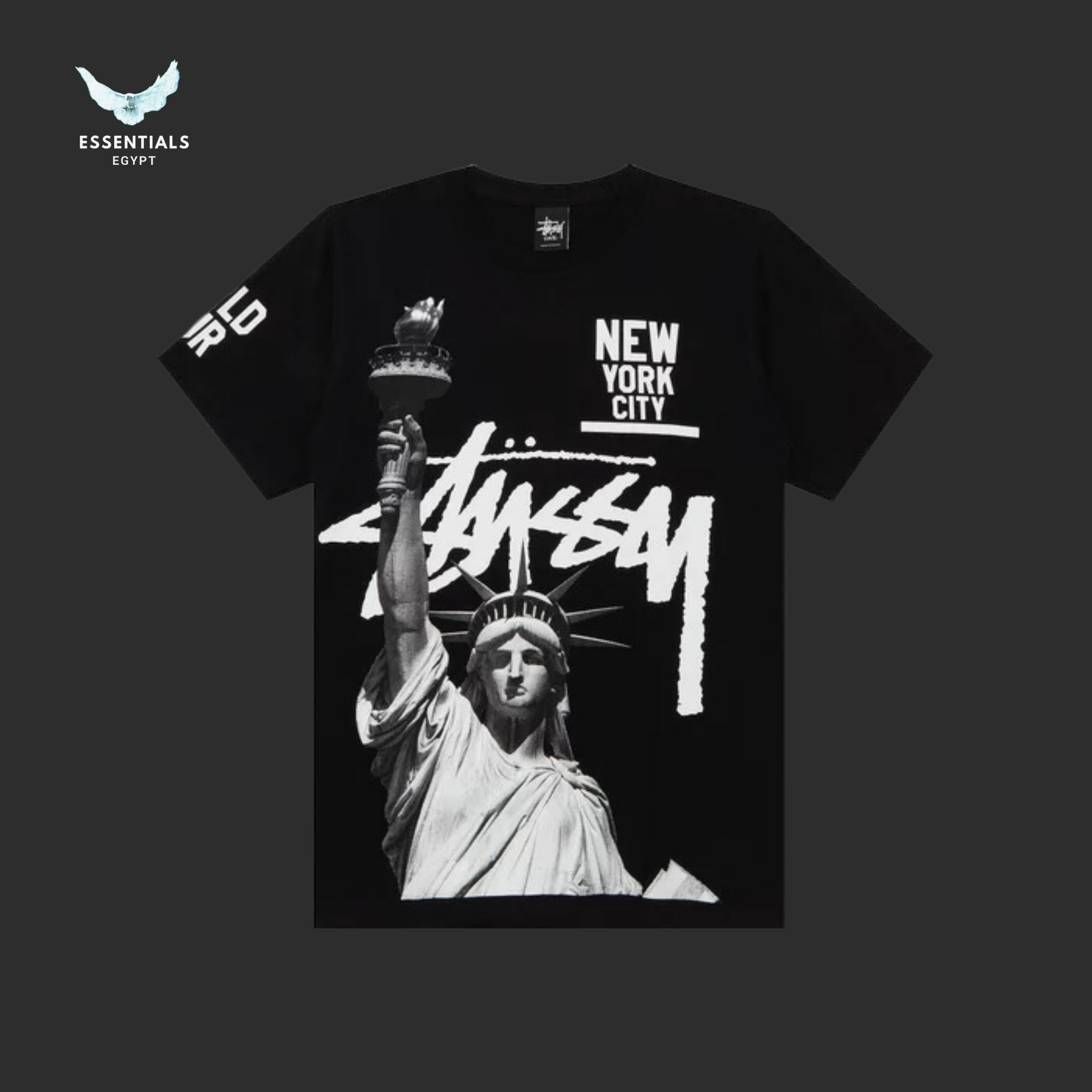 Stussy Liberty NYC Tee 'Black'