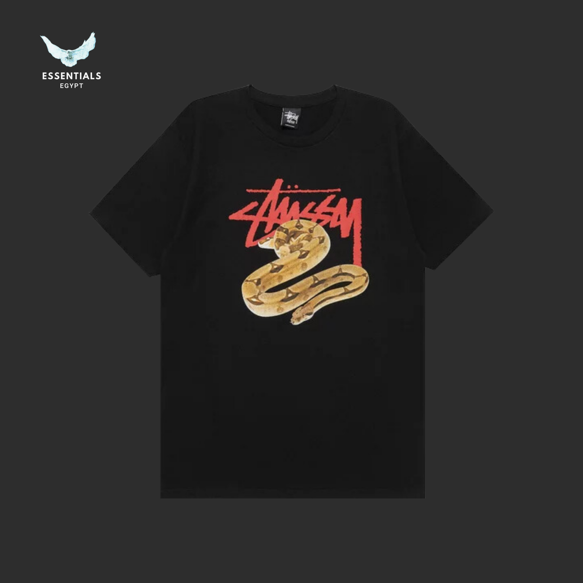 Stussy Stock Snake Tee 'Black'