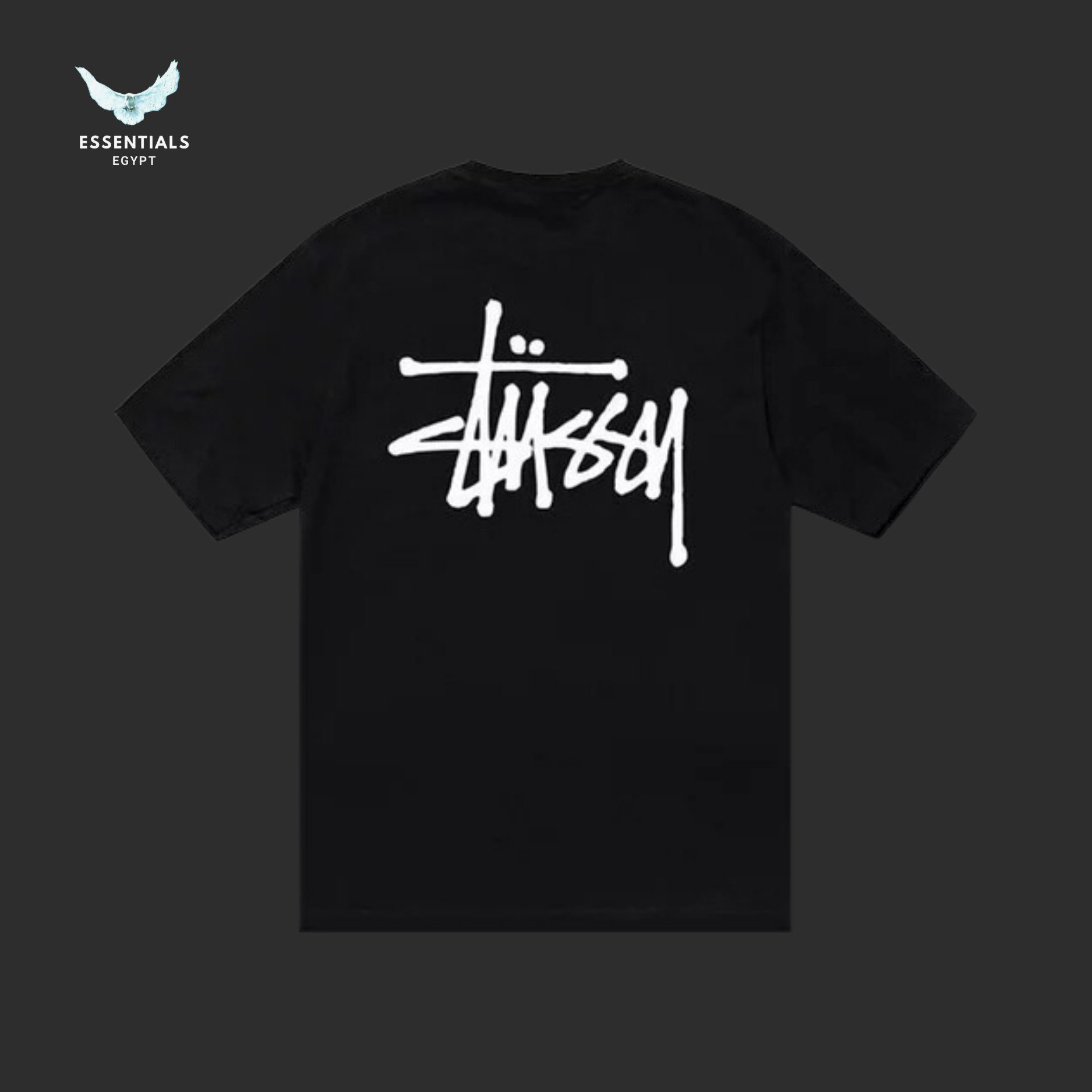 Stussy Basic Tee 'Black'