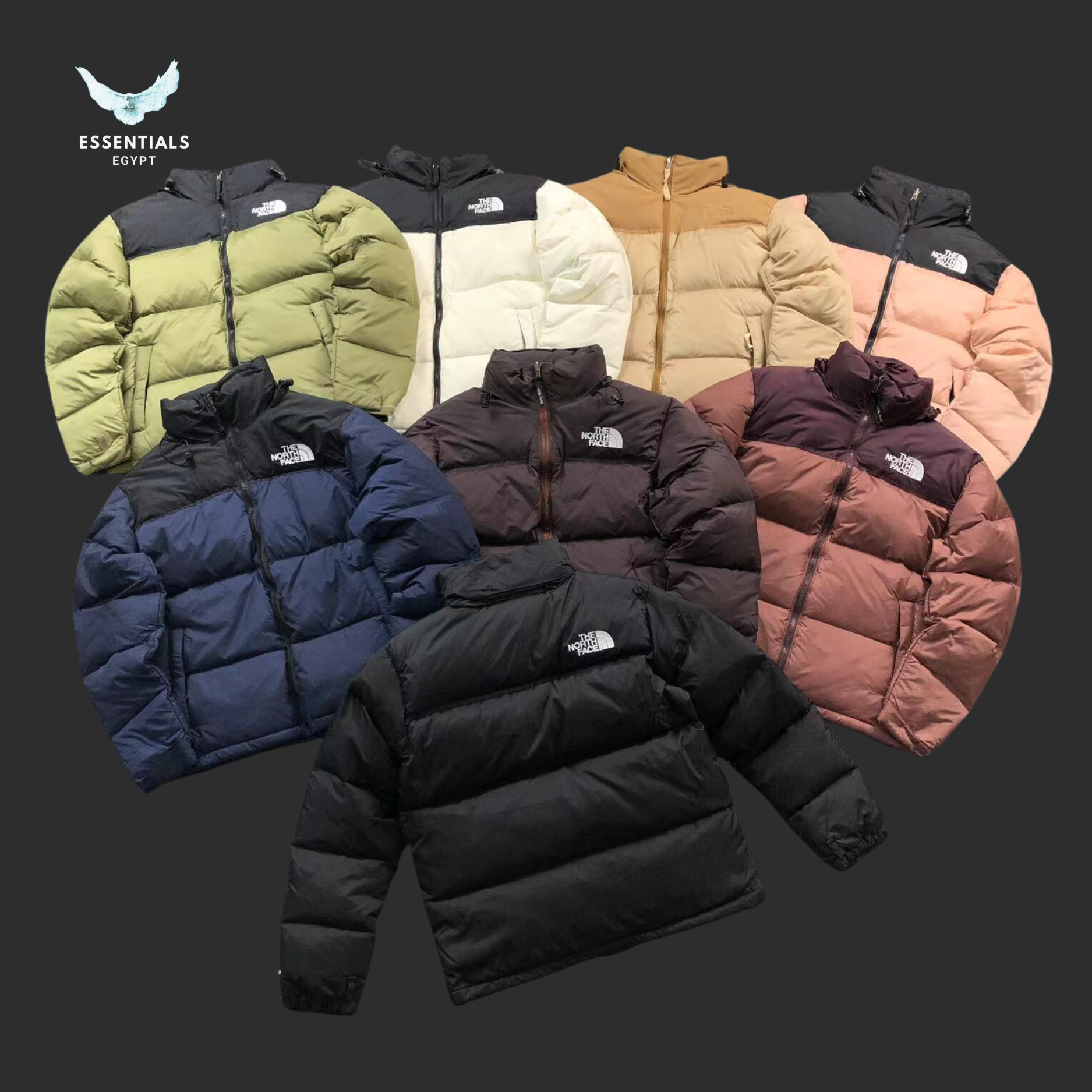 THE NORTH FACE DOWN JACKETS 381201