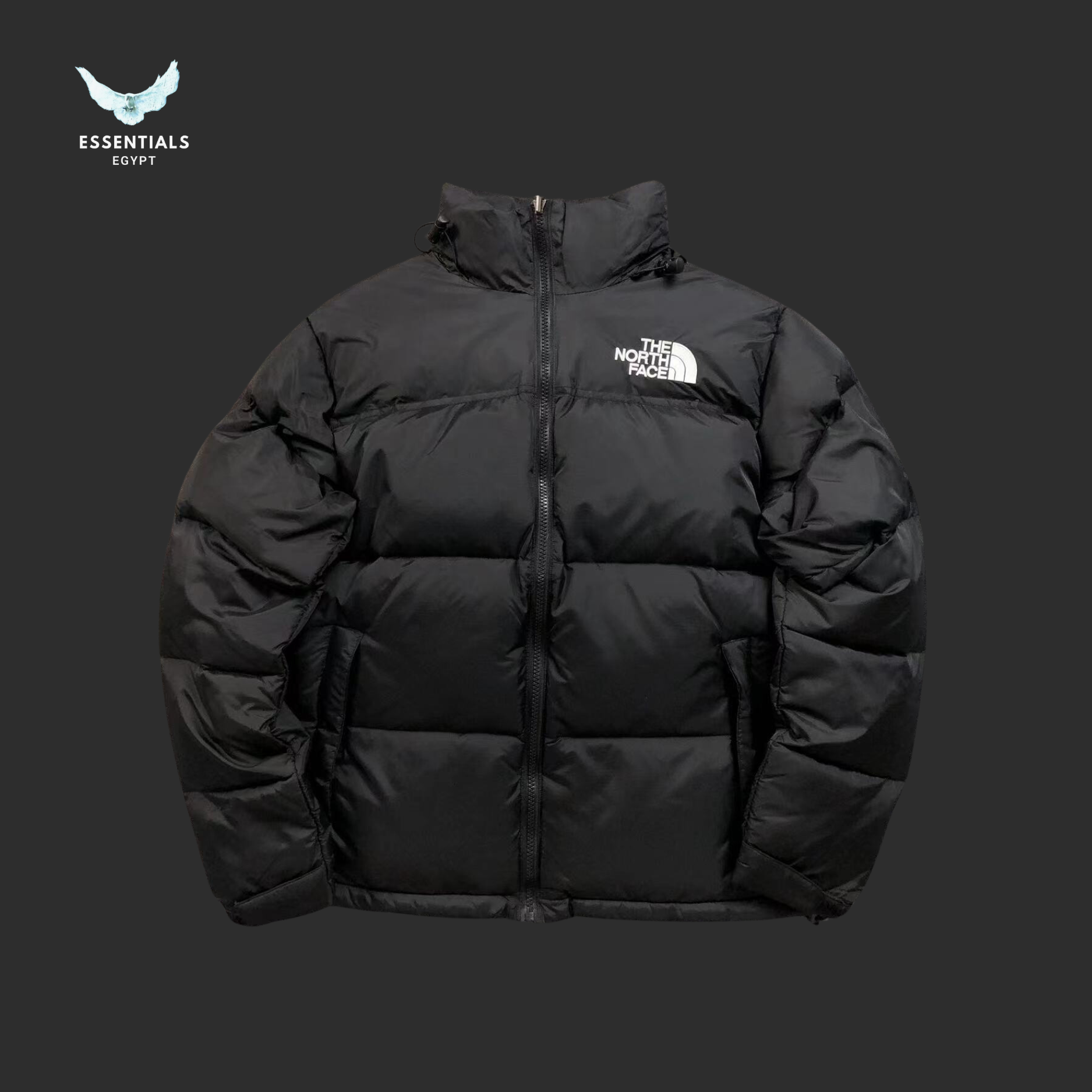 THE NORTH FACE DOWN JACKETS 381201